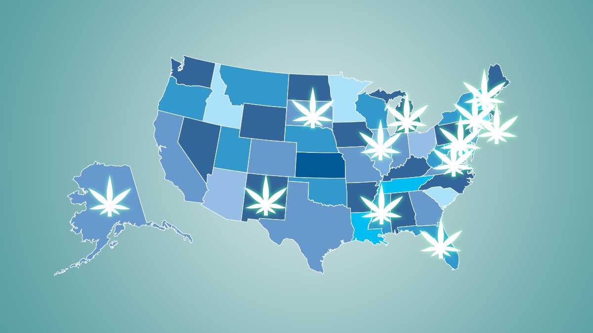 The State of Cannabis: A breakdown of where certain states stand right now