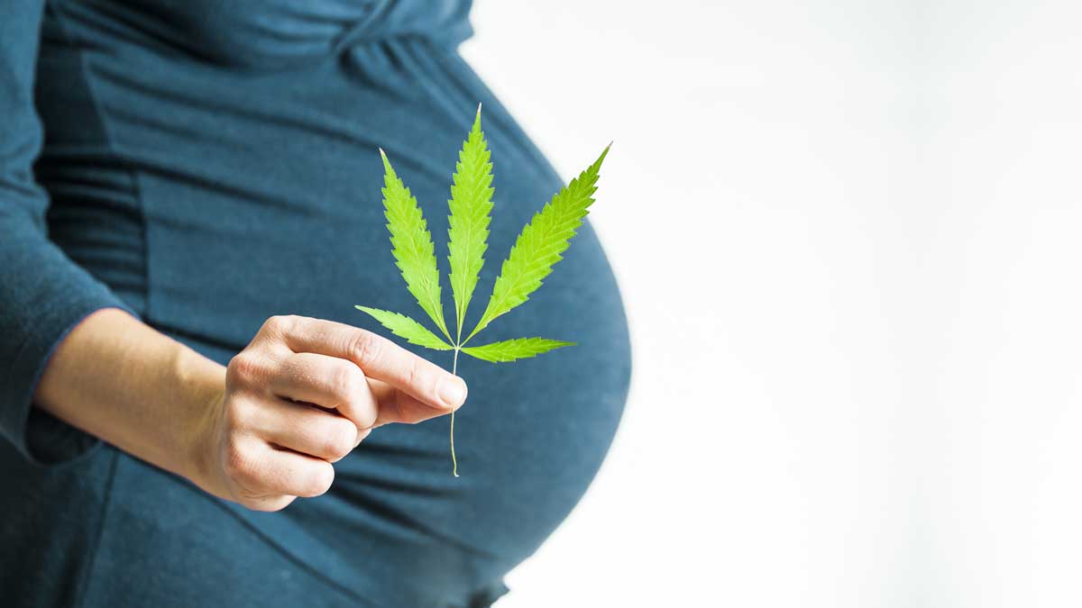 An Overview of Pregnancy and CBD/THC